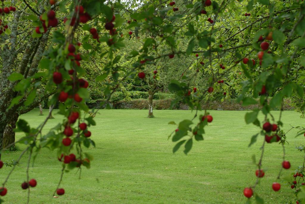 Rhosygilwen Courtyard Bed & Breakfast Cilgerran Bagian luar foto